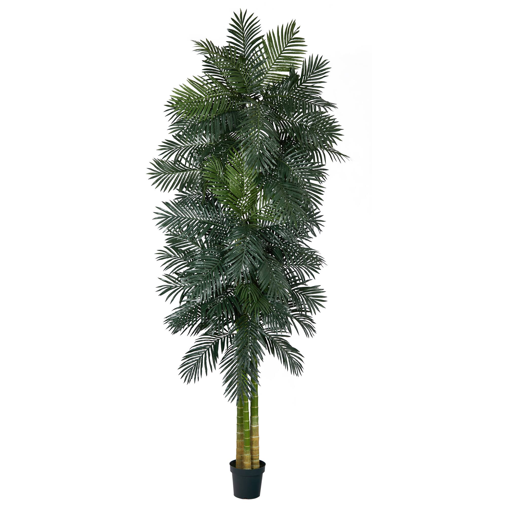 10ft. Potted Triple Stalk Golden Cane Palm Tree